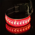 LED Lights Dog Pets Collars Adjustable Polyester Glow In Night Pet Dog Cat Puppy Safe Luminous Flashing Necklace - 003