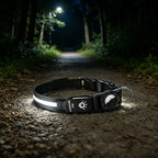 LED Luminous Adjustable Dog Collar Rechargeable Heavy Duty Collar Equipped AirTag Case for Small Medium Large Outdoor