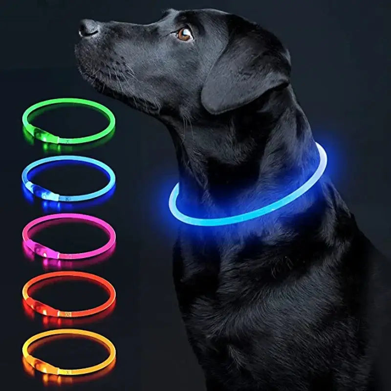 Led Luminous Dog Collar Light USB Charging Necklace Flashing DIY Glowing Safety Anti Lost Cat Dogs Collar Accessories