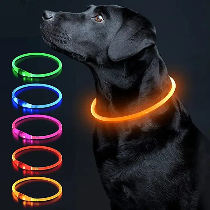 Led Luminous Dog Collar Light USB Charging Necklace Flashing DIY Glowing Safety Anti Lost Cat Dogs Collar Accessories