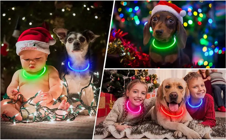 Led Luminous Dog Collar Light USB Charging Necklace Flashing DIY Glowing Safety Anti Lost Cat Dogs Collar Accessories