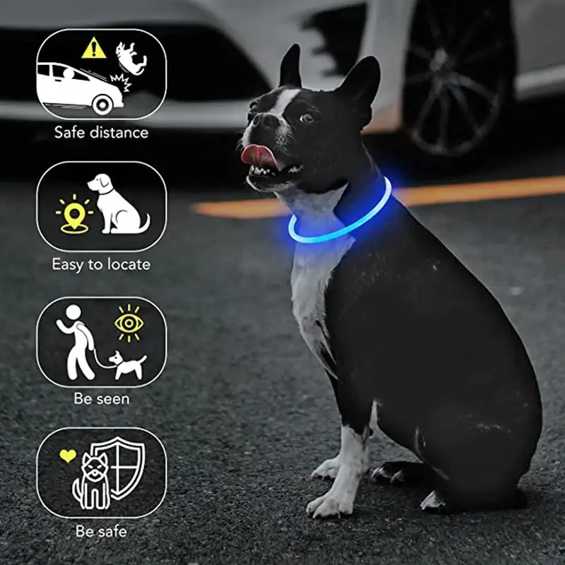 Led Luminous Dog Collar Light USB Charging Necklace Flashing DIY Glowing Safety Anti Lost Cat Dogs Collar Accessories