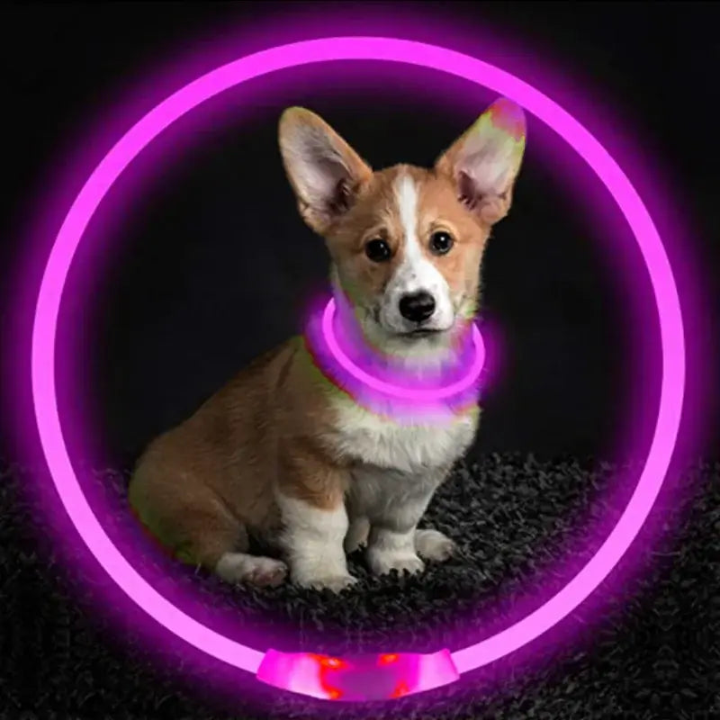 Led Luminous Dog Collar Light USB Charging Necklace Flashing DIY Glowing Safety Anti Lost Cat Dogs Collar Accessories