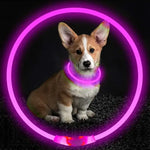 Led Luminous Dog Collar Light USB Charging Necklace Flashing DIY Glowing Safety Anti Lost Cat Dogs Collar Accessories
