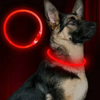 Led Usb Dog Collar Pet Dog Night Luminous Charge Collar Led Night Safety Flashing Glow Dog Loss Prevention Collar Pet