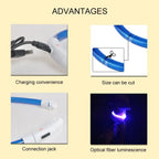 Led Usb Dog Collar Pet Dog Night Luminous Charge Collar Led Night Safety Flashing Glow Dog Loss Prevention Collar Pet