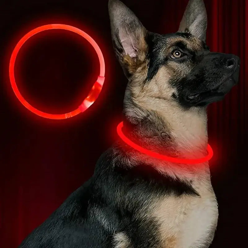 Led Usb Dog Collar Pet Dog Night Luminous Charge Collar Led Night Safety Flashing Glow Dog Loss Prevention Collar Pet