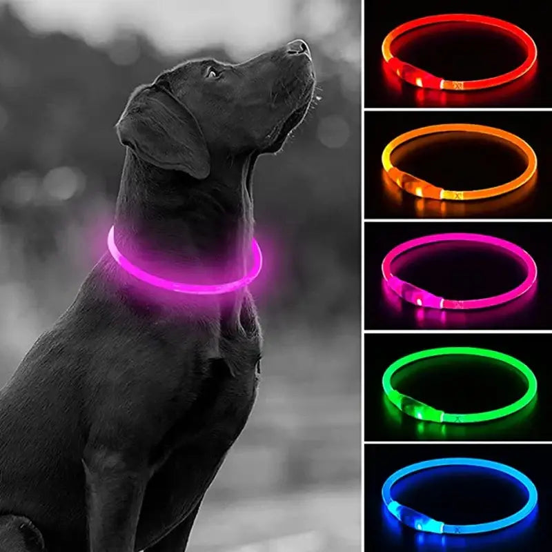 Led Usb Dog Collar Pet Dog Night Luminous Charge Collar Led Night Safety Flashing Glow Dog Loss Prevention Collar Pet
