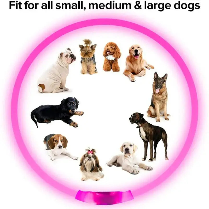 Led Usb Dog Collar Pet Dog Night Luminous Charge Collar Led Night Safety Flashing Glow Dog Loss Prevention Collar Pet