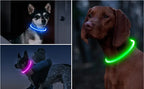 Led Usb Dog Collar Pet Dog Night Luminous Charge Collar Led Night Safety Flashing Glow Dog Loss Prevention Collar Pet