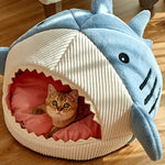Lit chat hiver chaud premium