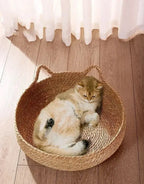 Lit chat naturel tressé