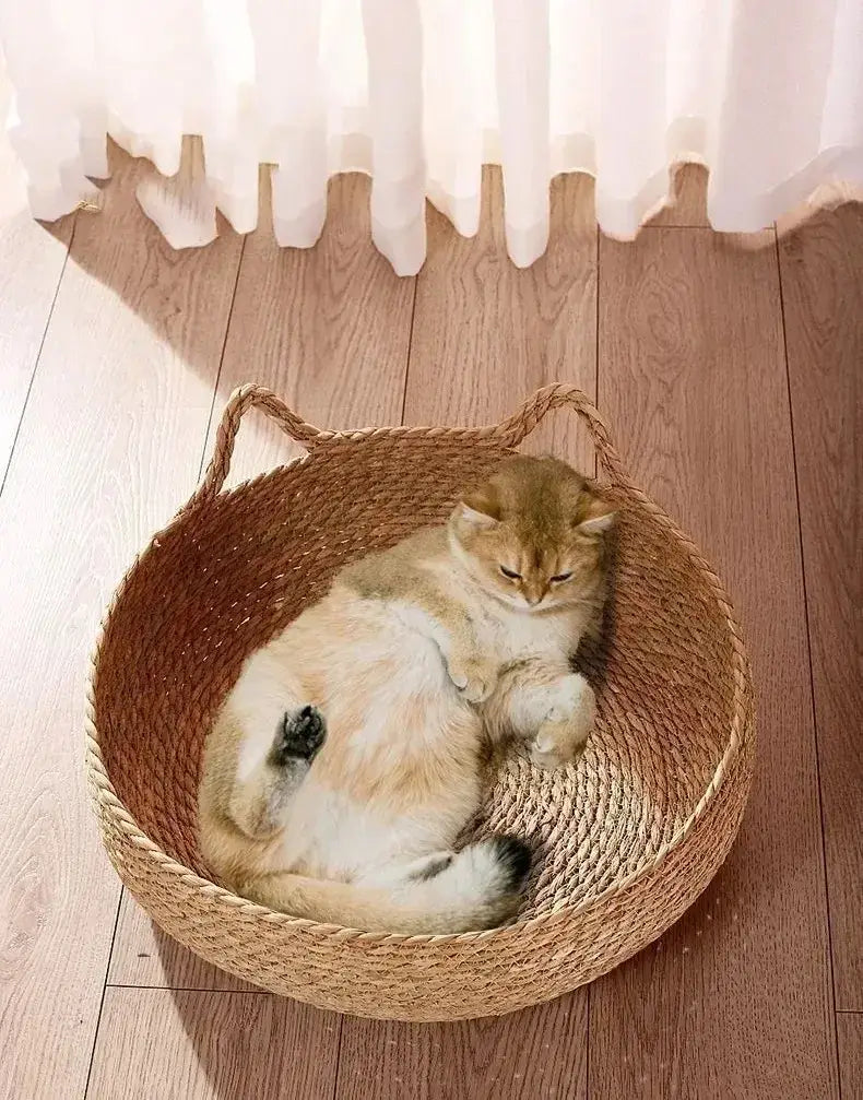 Lit chat naturel tressé