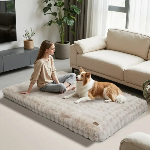 Lit Chien Confortable Ultra Doux | PawFrance France