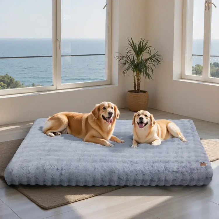 Lit Chien Confortable Ultra Doux
