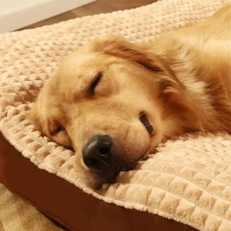 Lit chien confortable en polaire – PawFrance premium