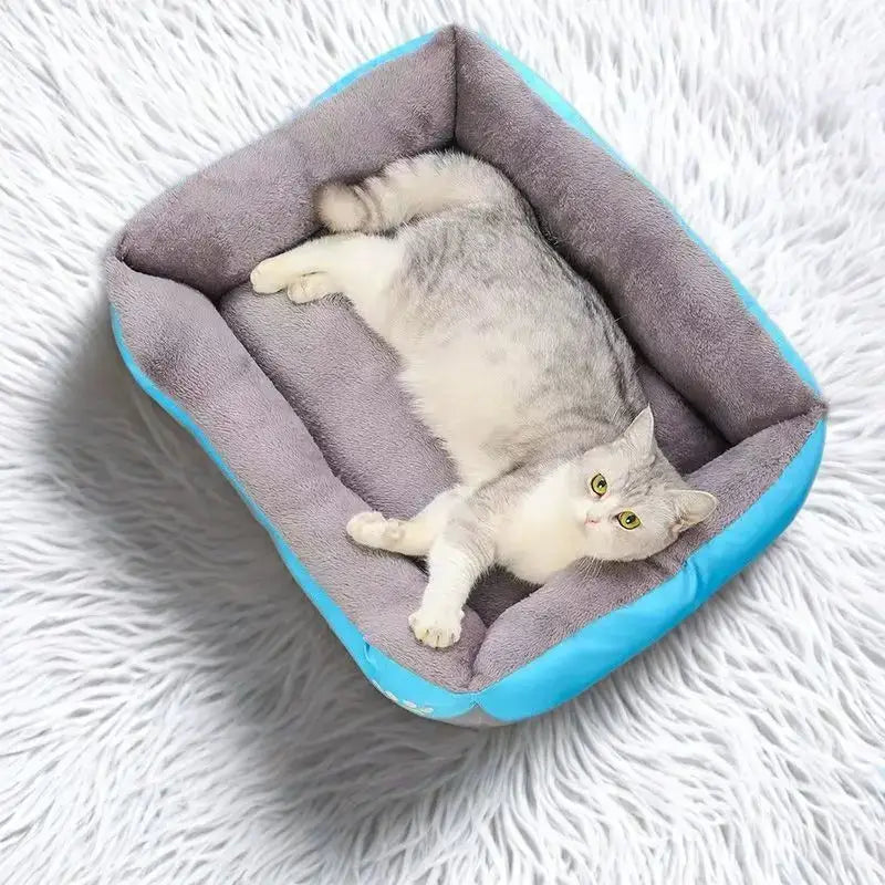 Lit pour Chien Moelleux Antidérapant | PawFrance