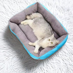 Lit pour Chien Moelleux Antidérapant | PawFrance