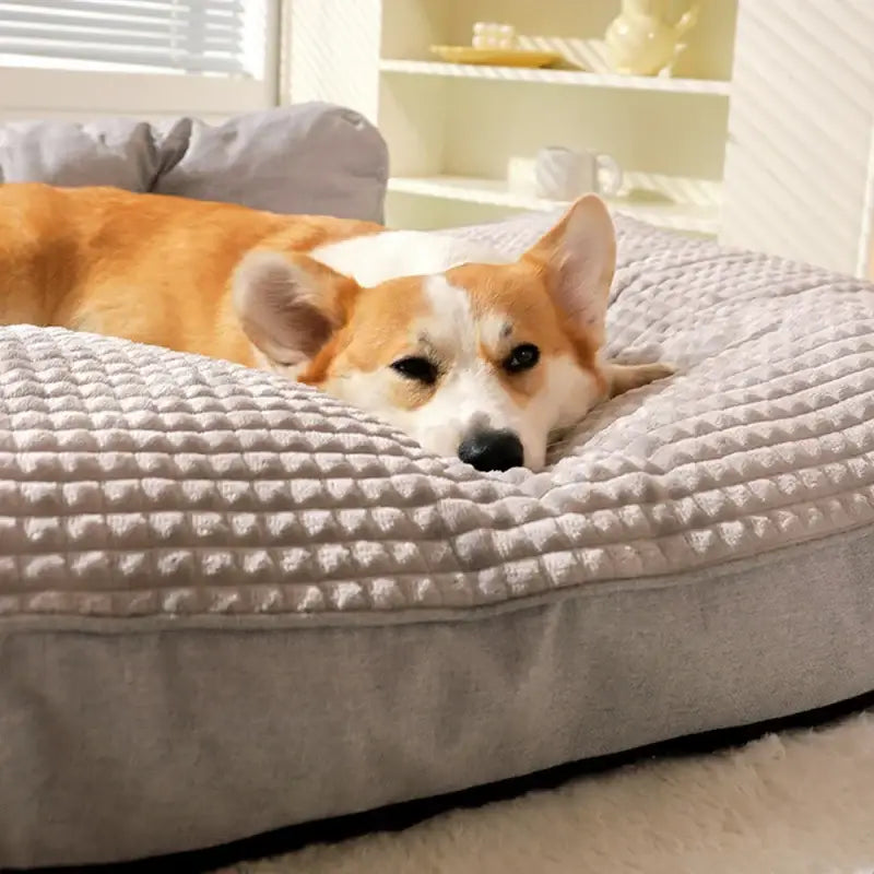 Lit douillet pour animaux de compagnie