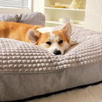 Lit douillet pour animaux de compagnie