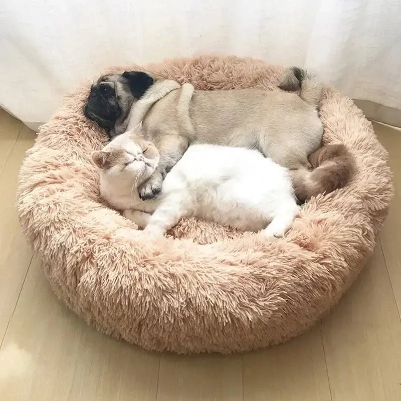 Lit doux pour chat et chien facile à nettoyer