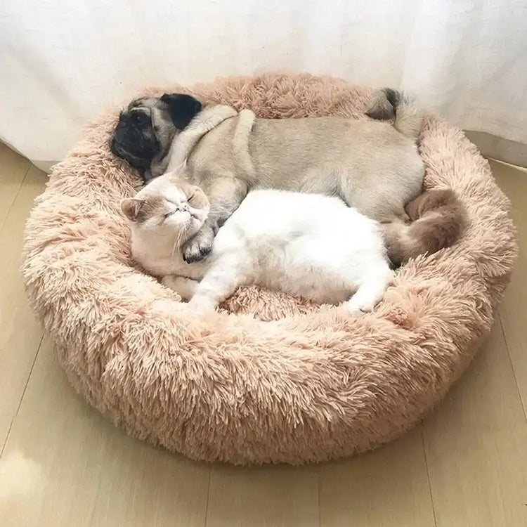 Lit doux pour chat et chien facile à nettoyer