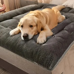 Lit pour chien confortable - Gray