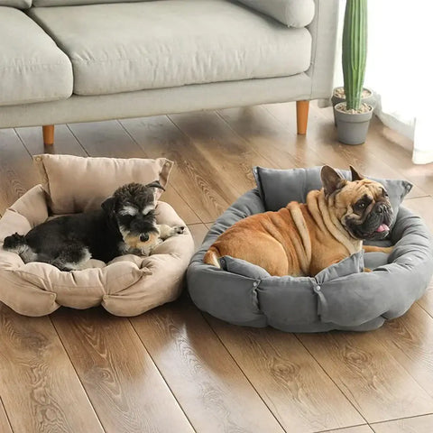 Lit pour chien multifonction – PawFrance Premium