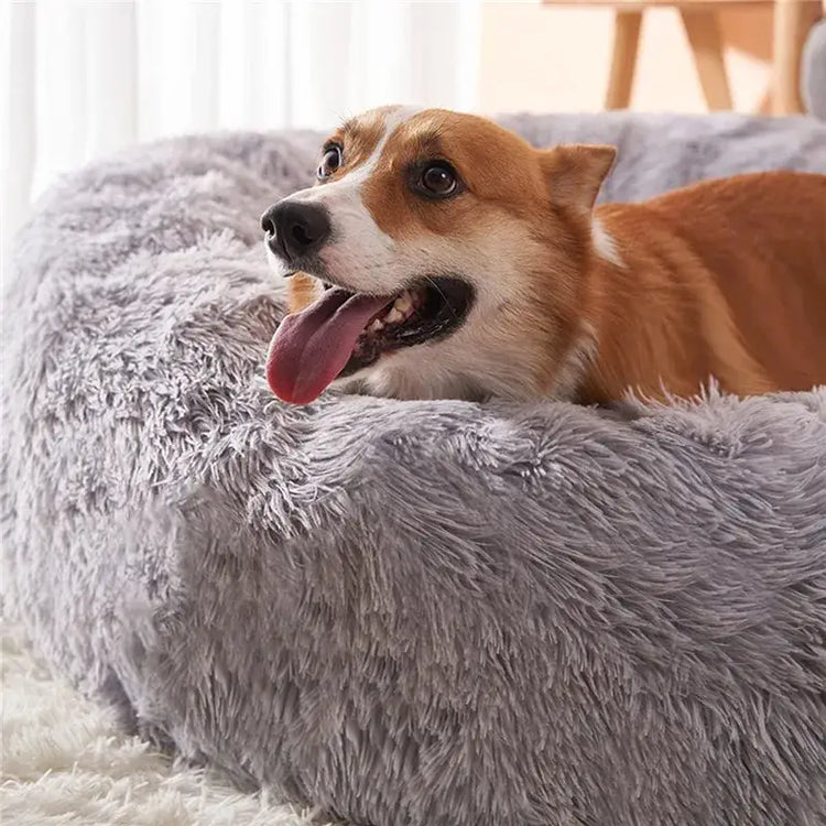 Lit rond pour chien confortable – PawFrance