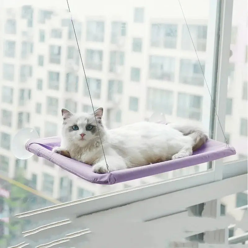 Hamac pour chat confortable – Lit suspendu Premium