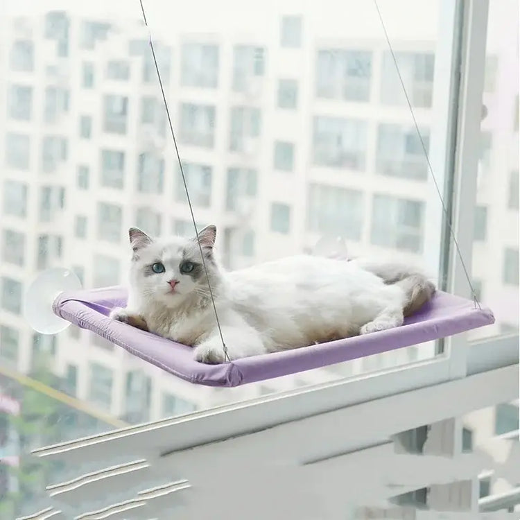 Hamac pour chat confortable – Lit suspendu Premium