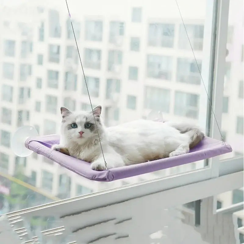 Lit suspendu en forme de hamac pour chat - PURPLE / China Mainland