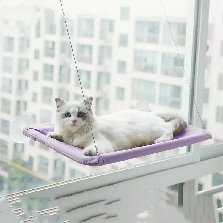 Lit suspendu en forme de hamac pour chat - PURPLE / China Mainland