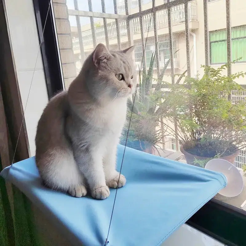 Hamac pour chat confortable – Lit suspendu Premium