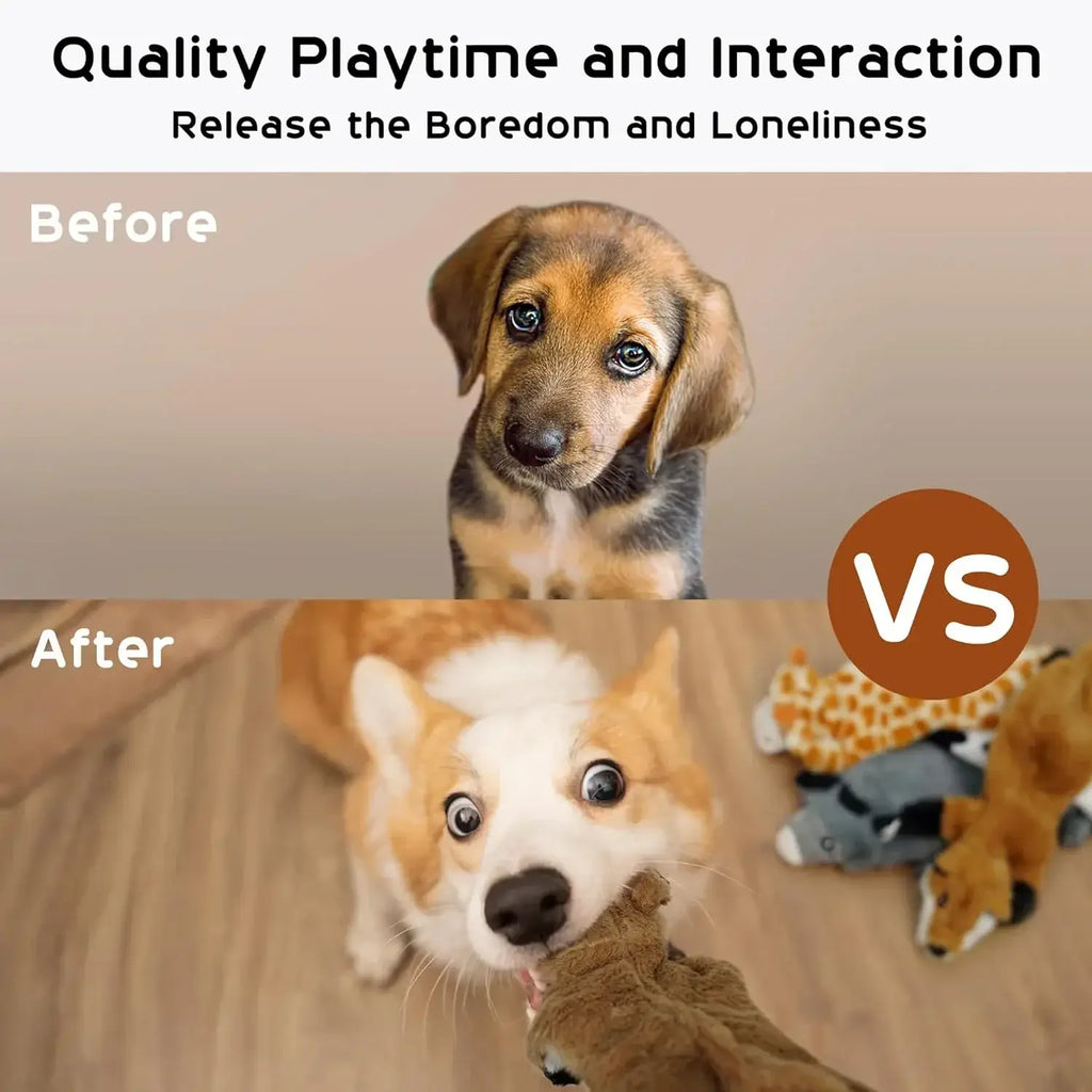 Lot de 5 jouets couineurs pour chiens résistants