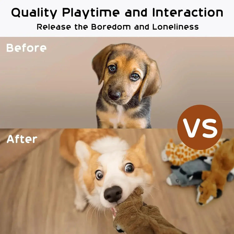 Lot de 5 jouets couineurs pour chiens résistants