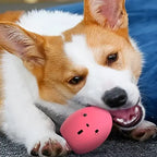Jouets pour chiens en forme d’œuf rebondissant