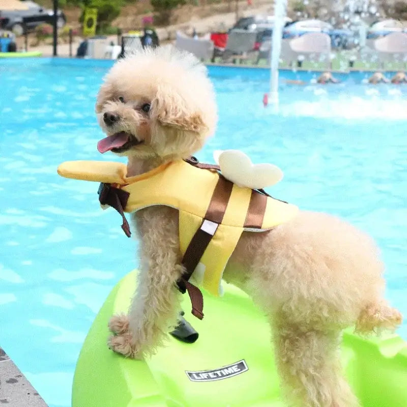 Maillot de bain pour petit chien abeille