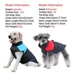 Manteau d’hiver imperméable pour chien