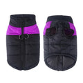 Manteau d’hiver imperméable pour chien - Purple / 6XL