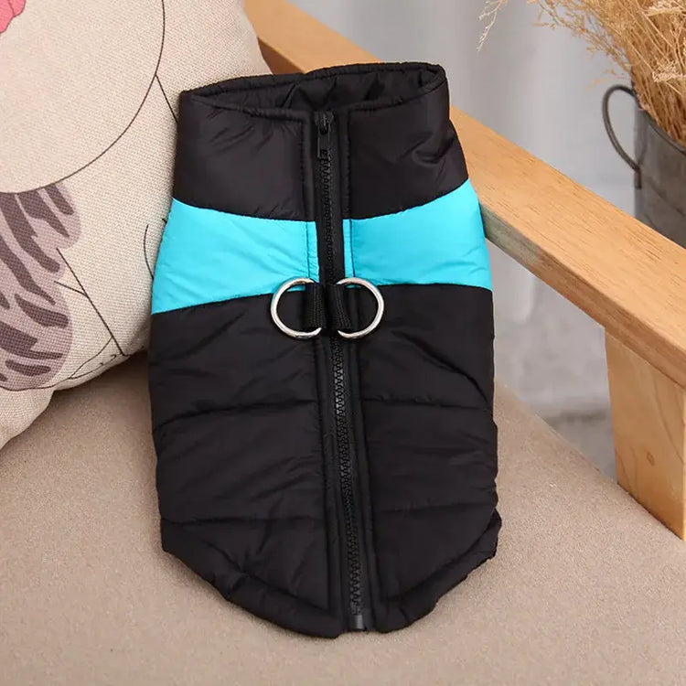 Manteau d’hiver imperméable pour chien