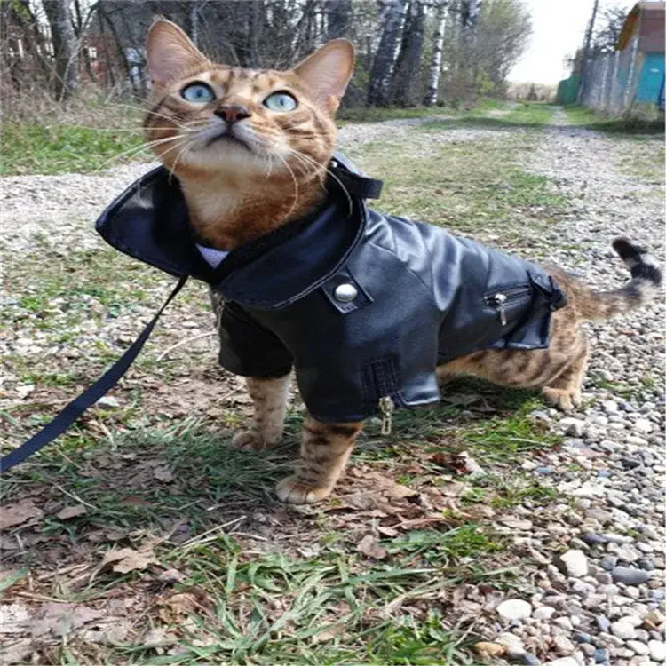 Manteau pour chien à motif d’aigle glorieux