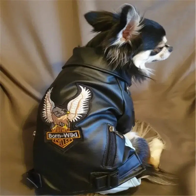 Manteau pour chien à motif d’aigle glorieux