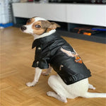 Manteau pour chien à motif d’aigle glorieux
