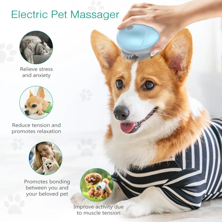 Masseur électrique pour chat