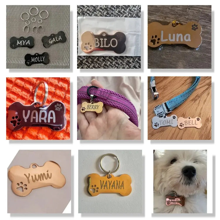 Médaille d’identification personnalisée pour animaux de compagnie