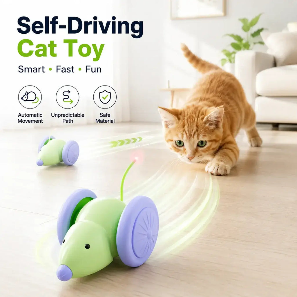 Mouse Car Cat Toy Interactive Laser Teaser Stick for Kittens Indoor Chase Exercise Play Daily Pet Entertainment Supplies