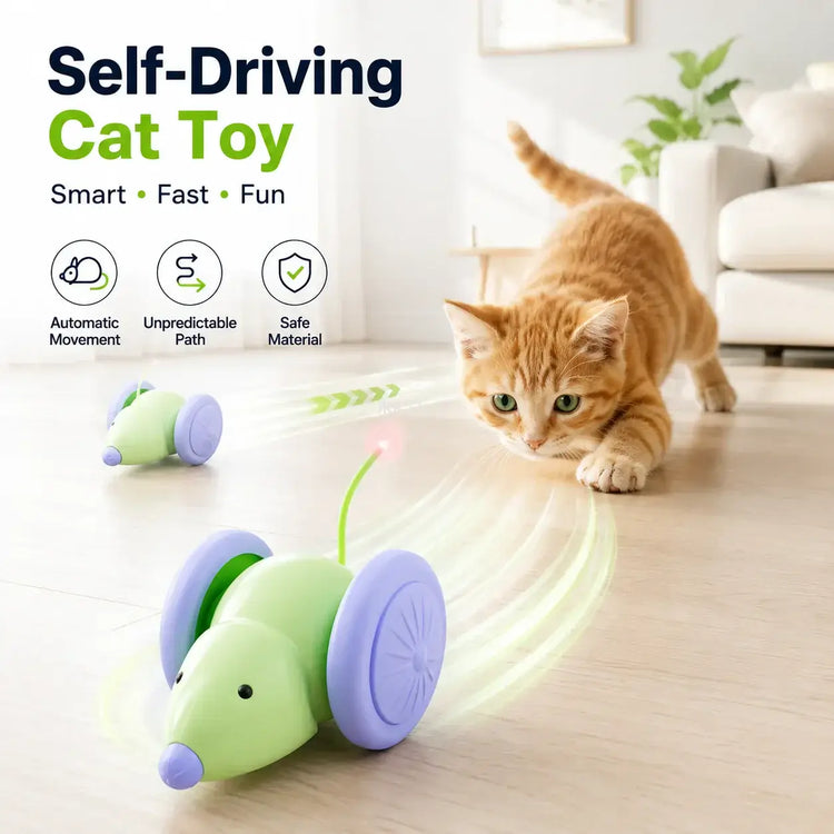 Mouse Car Cat Toy Interactive Laser Teaser Stick for Kittens Indoor Chase Exercise Play Daily Pet Entertainment Supplies