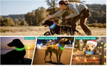 New Led Luminous Dog Collar PVC Waterproof For Large Medium Small Dogs Collar Usb Light Night Safety Pet Glowing