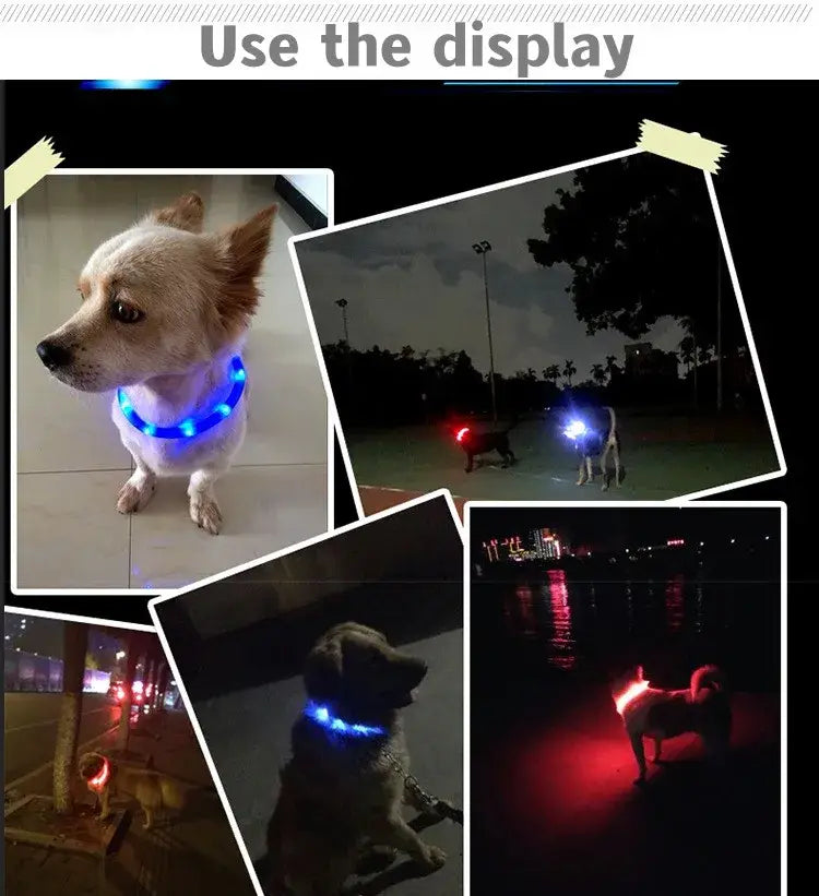 New Led Luminous Dog Collar PVC Waterproof For Large Medium Small Dogs Collar Usb Light Night Safety Pet Glowing